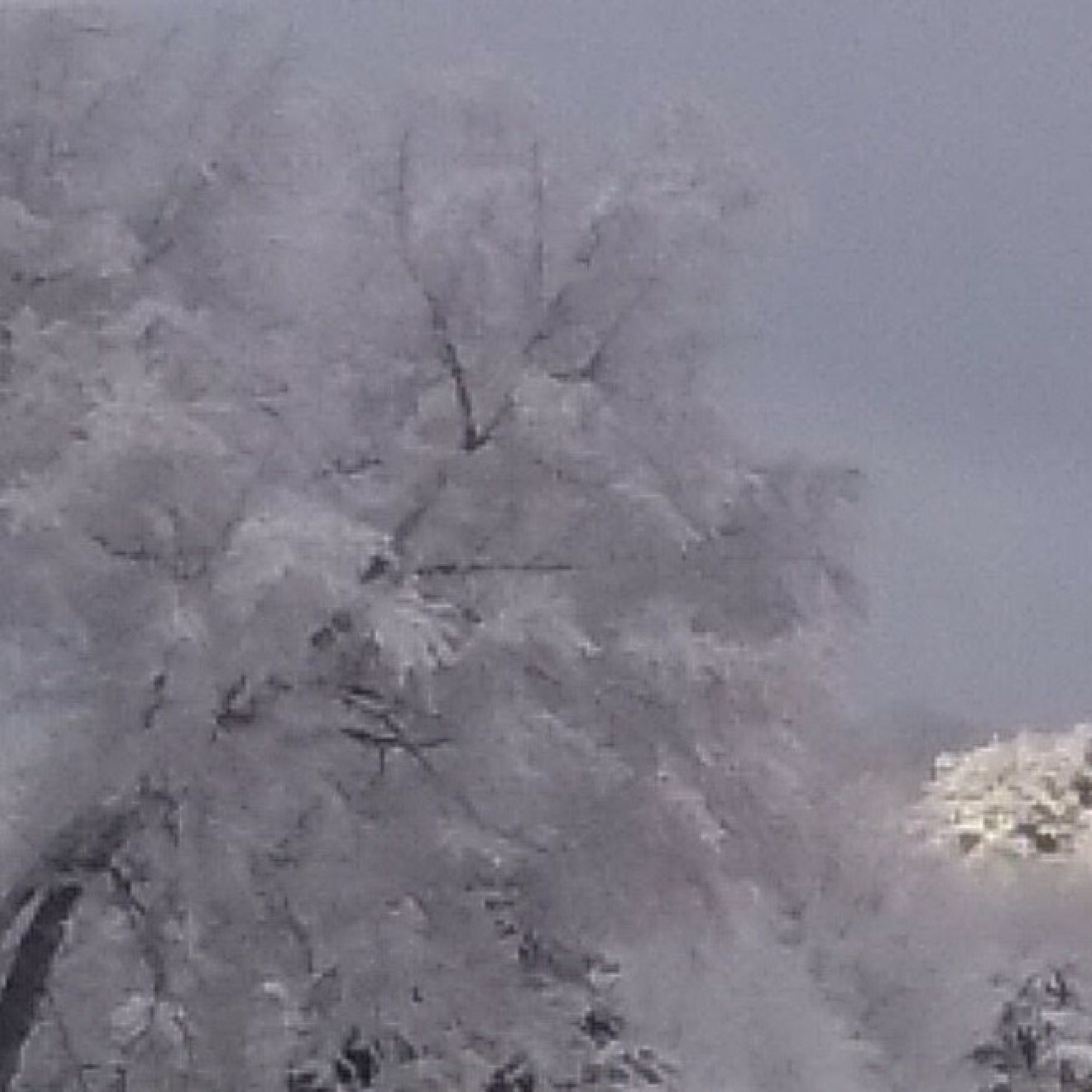 Freezing Rain - Sunshine pierces Storm.