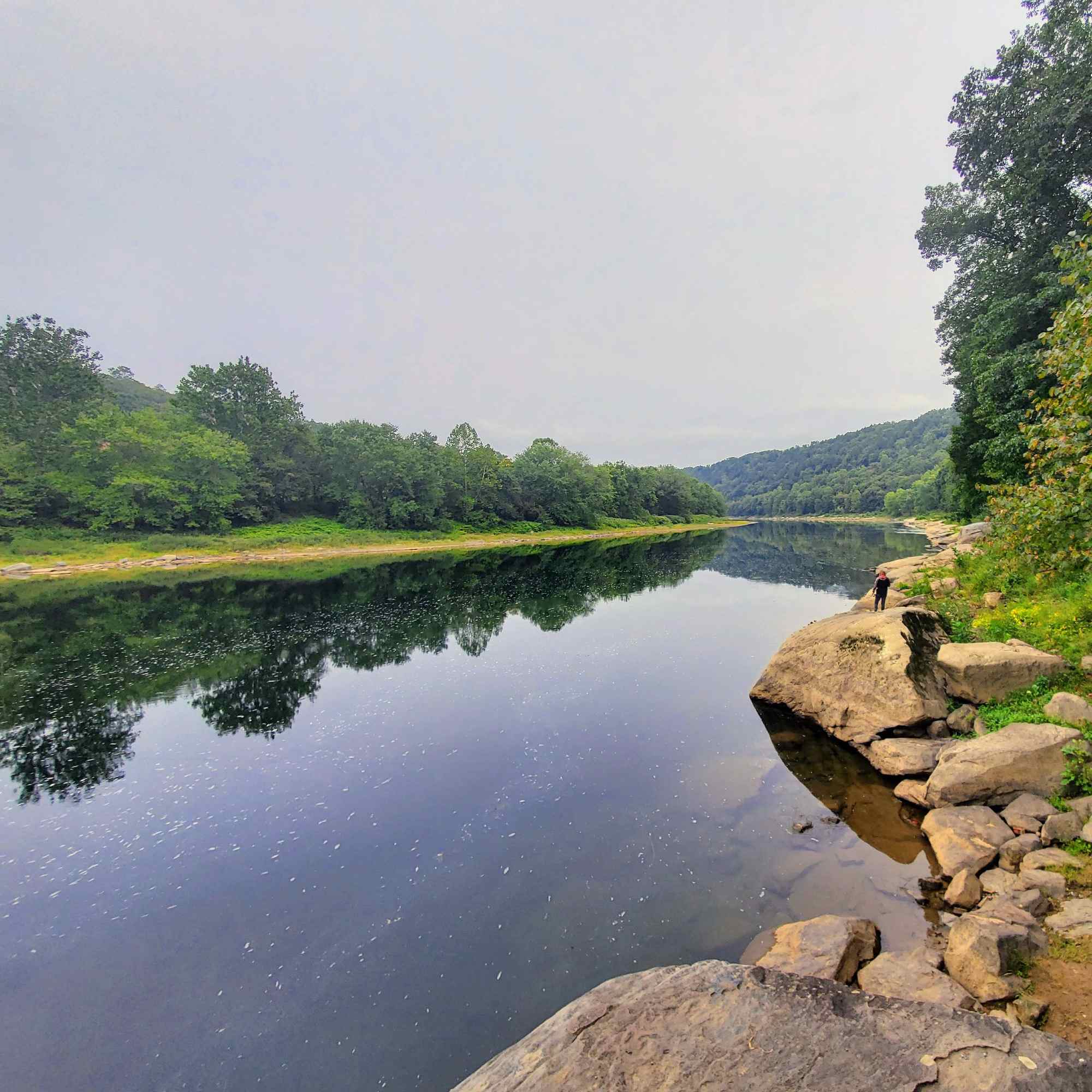 Tranquil Riverbank: Serenity by the Stone