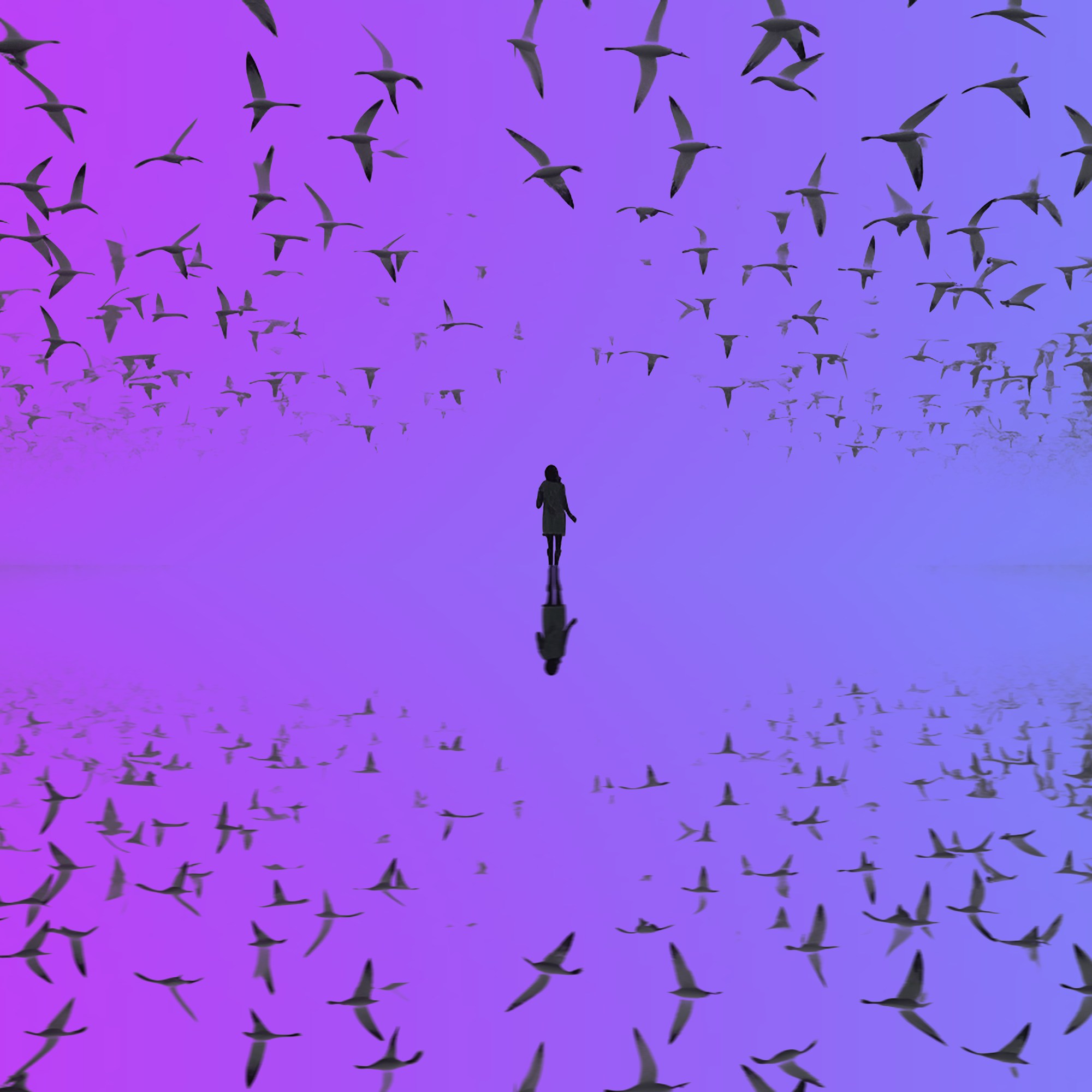 Purple Dawn 5