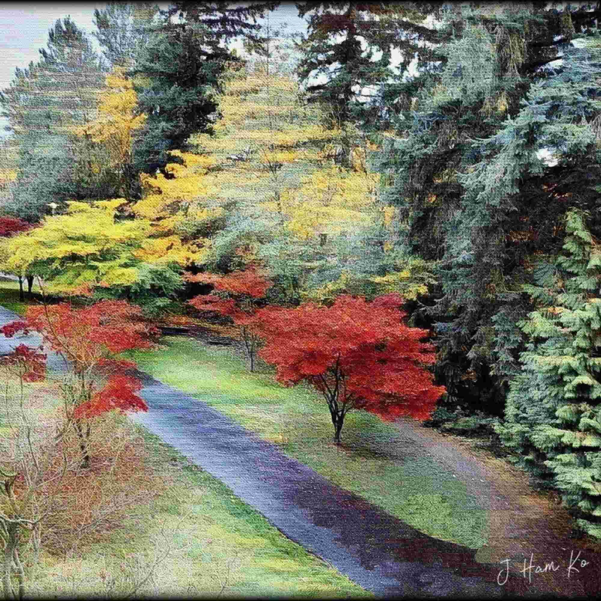 Autumn Colours