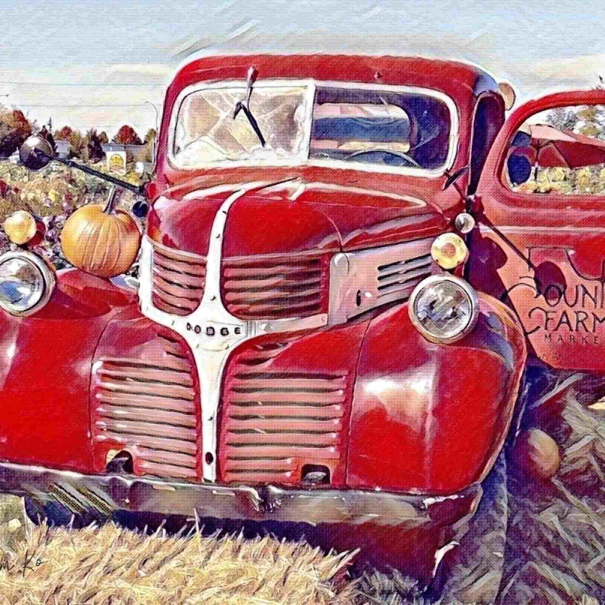 Pumpkin Patch