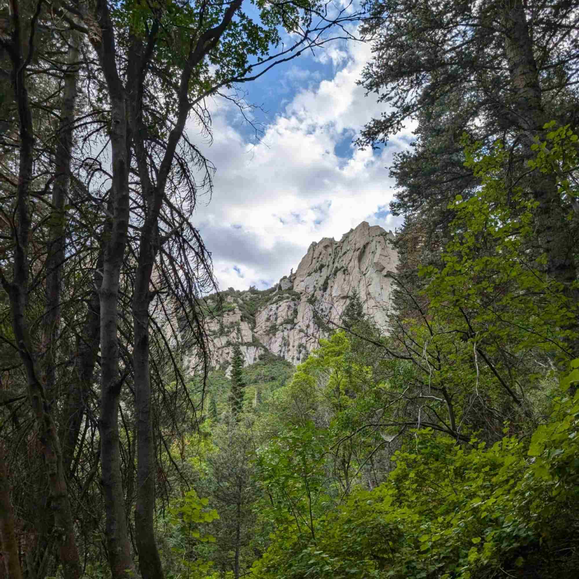 Natural Window to a Mountain