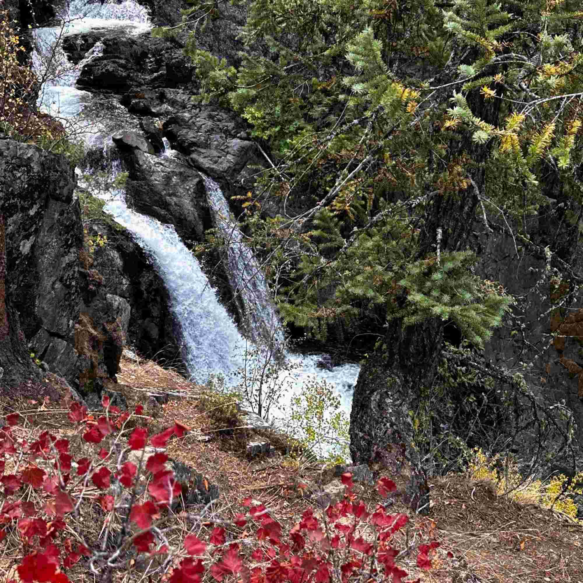 Waterfall with Red Leaves