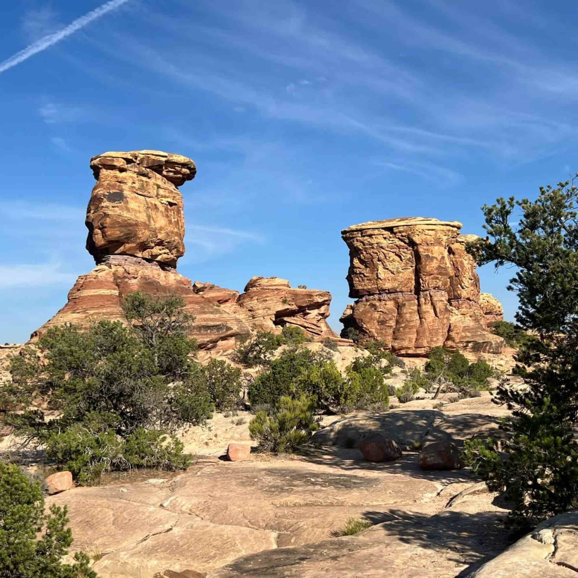 Canyonland Beauty