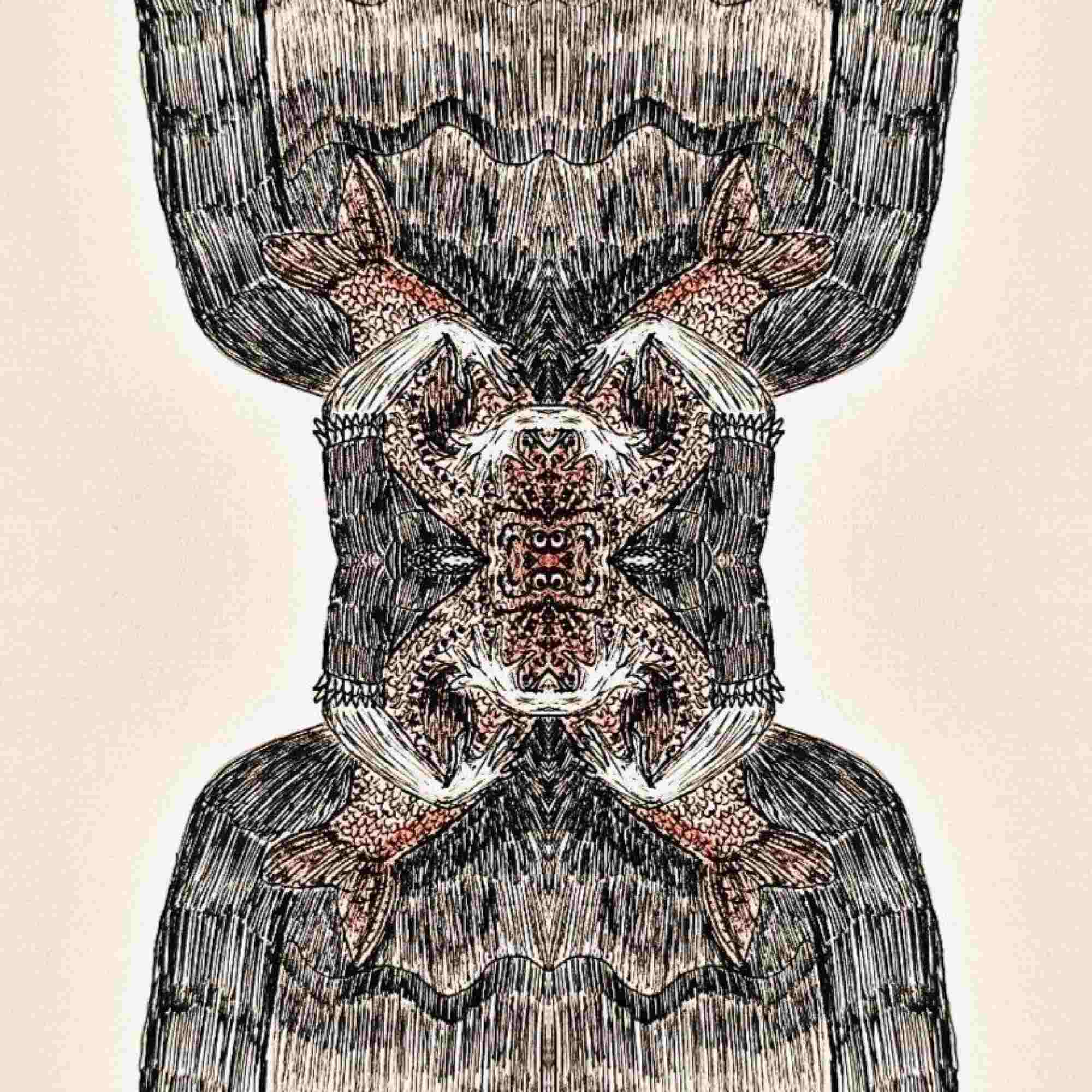 Welcome to Wonderland 1