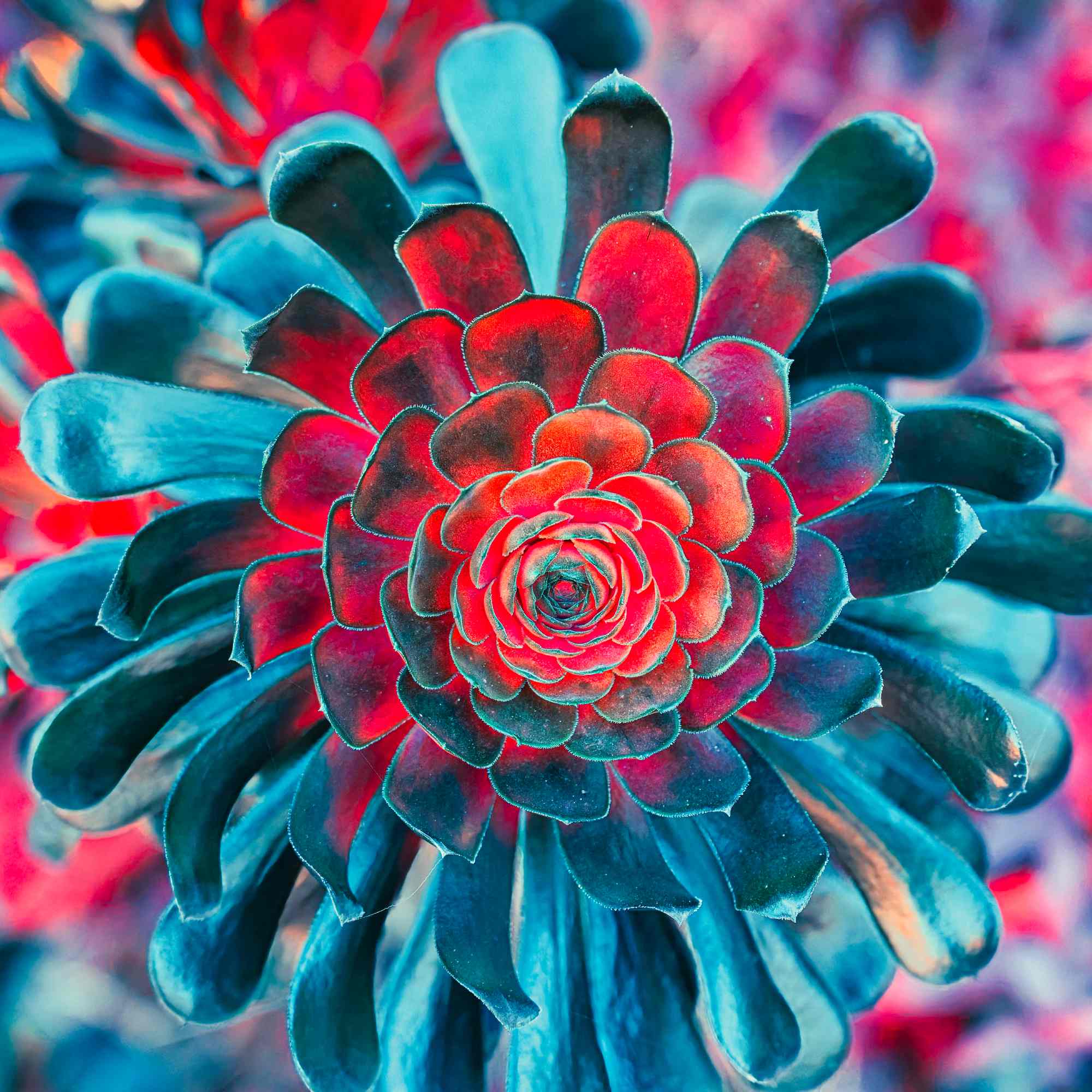 Alien Earth