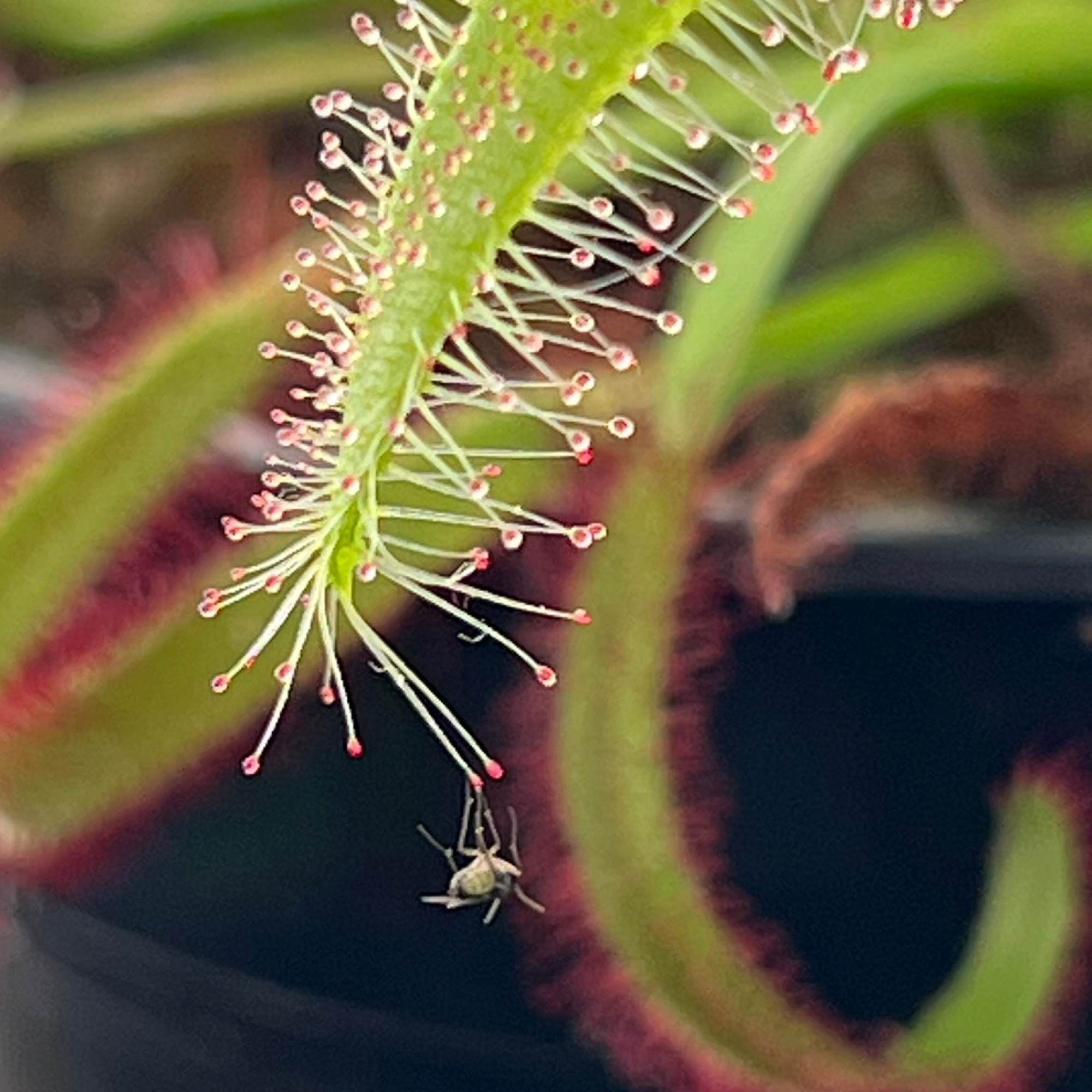 A Sticky Situation 