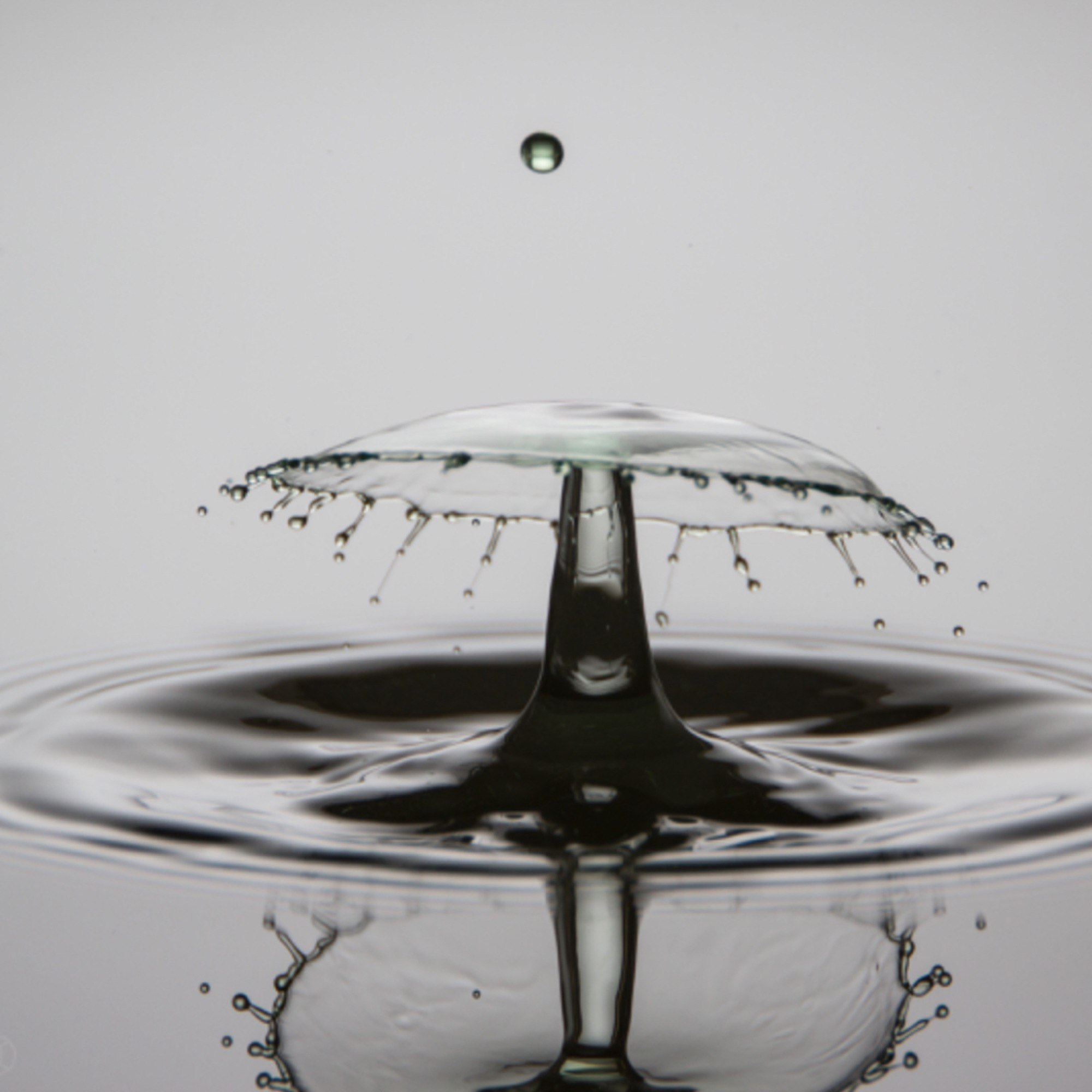 Dropz   #9