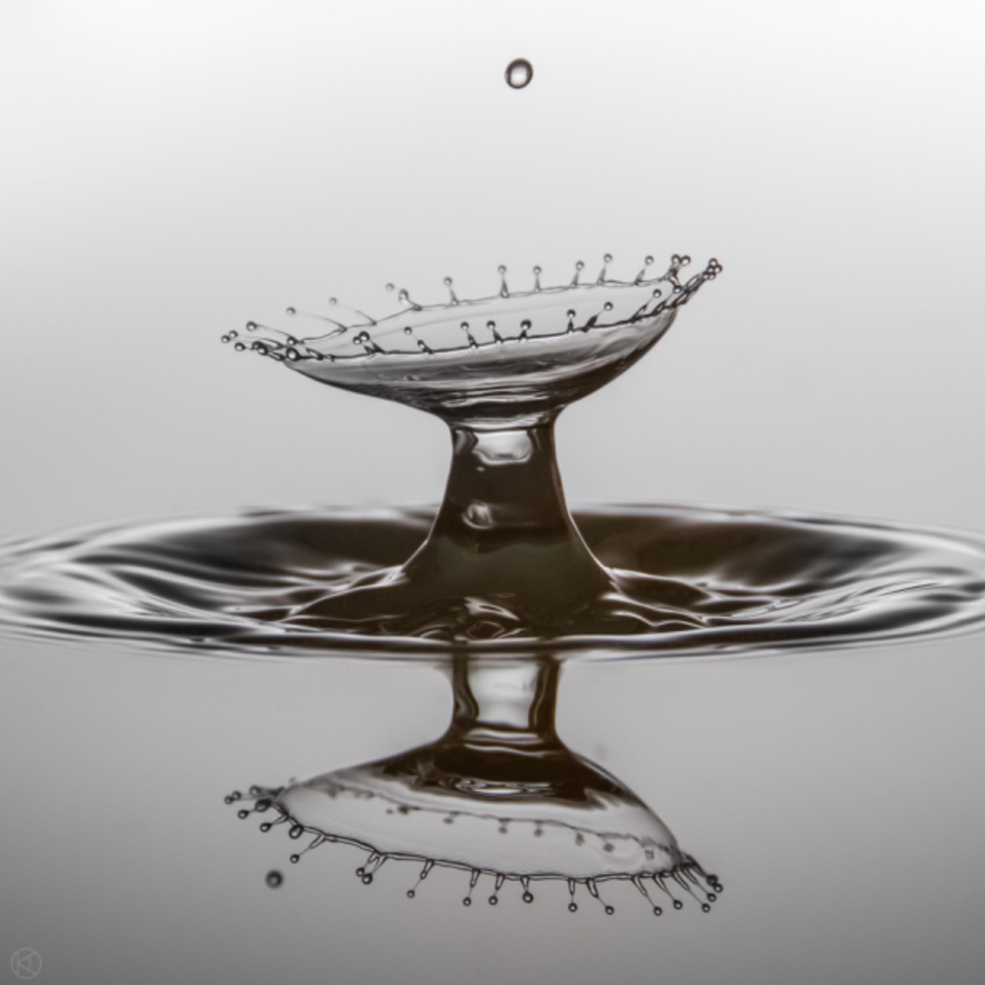 Dropz   #2
