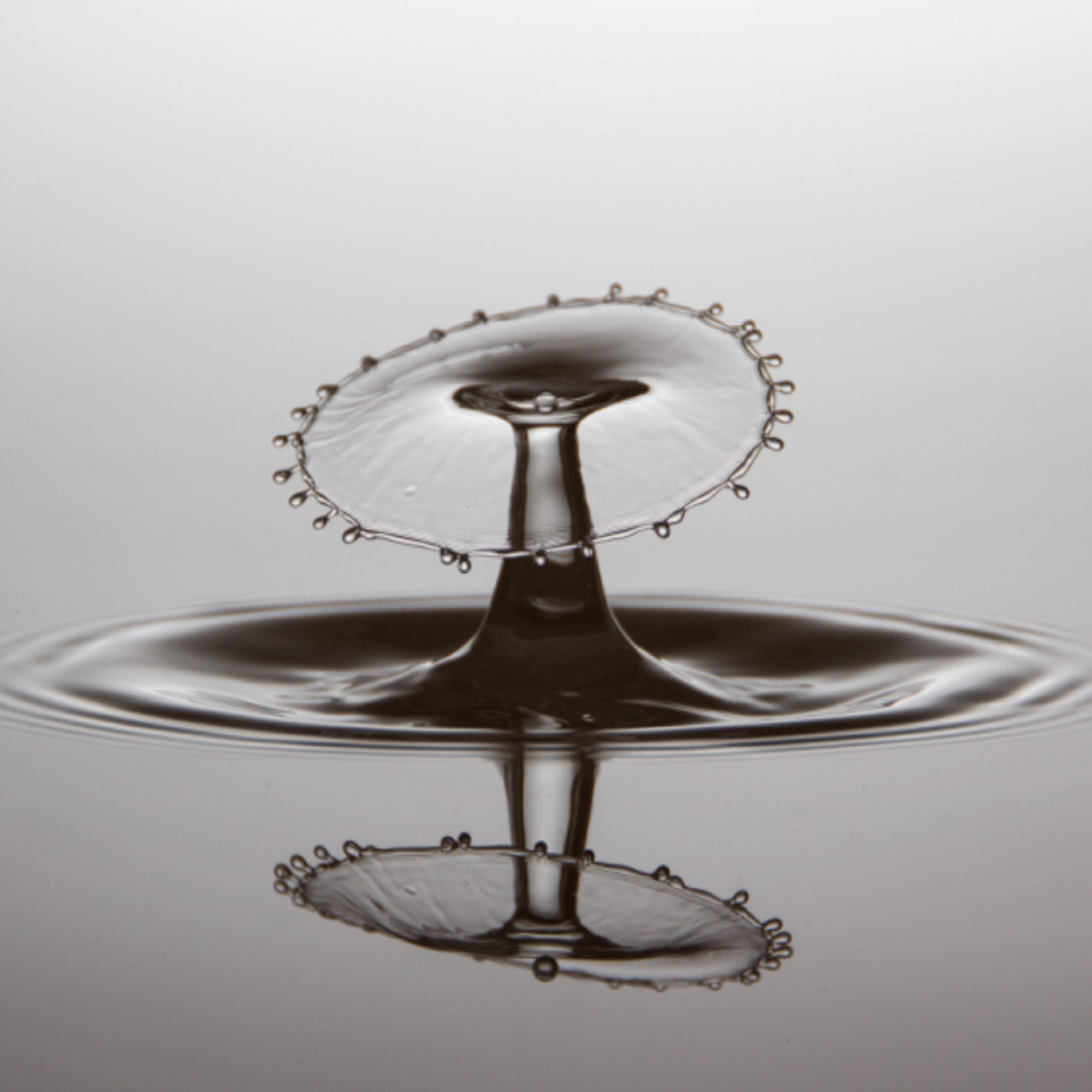 Dropz   #4