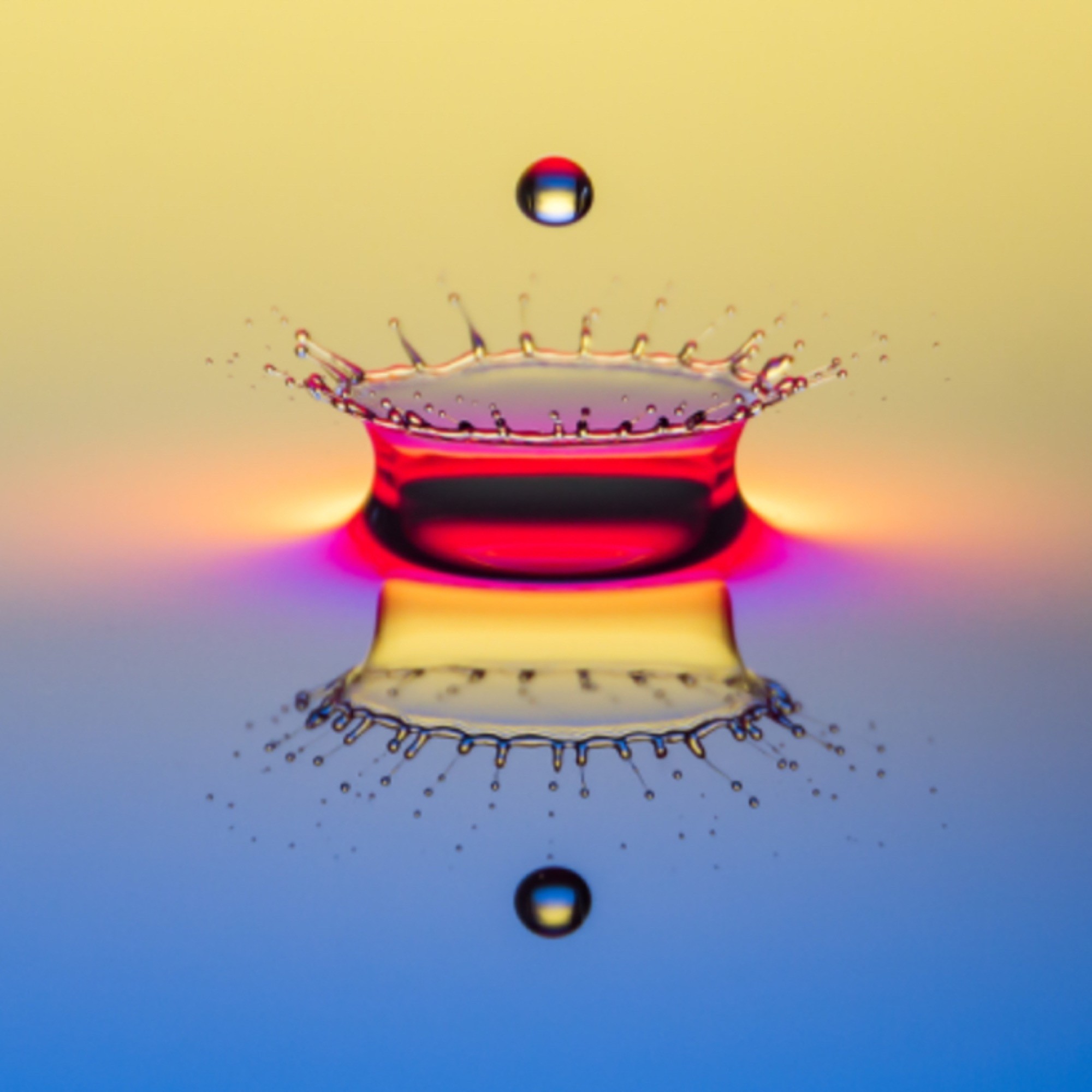 Dropz   #10