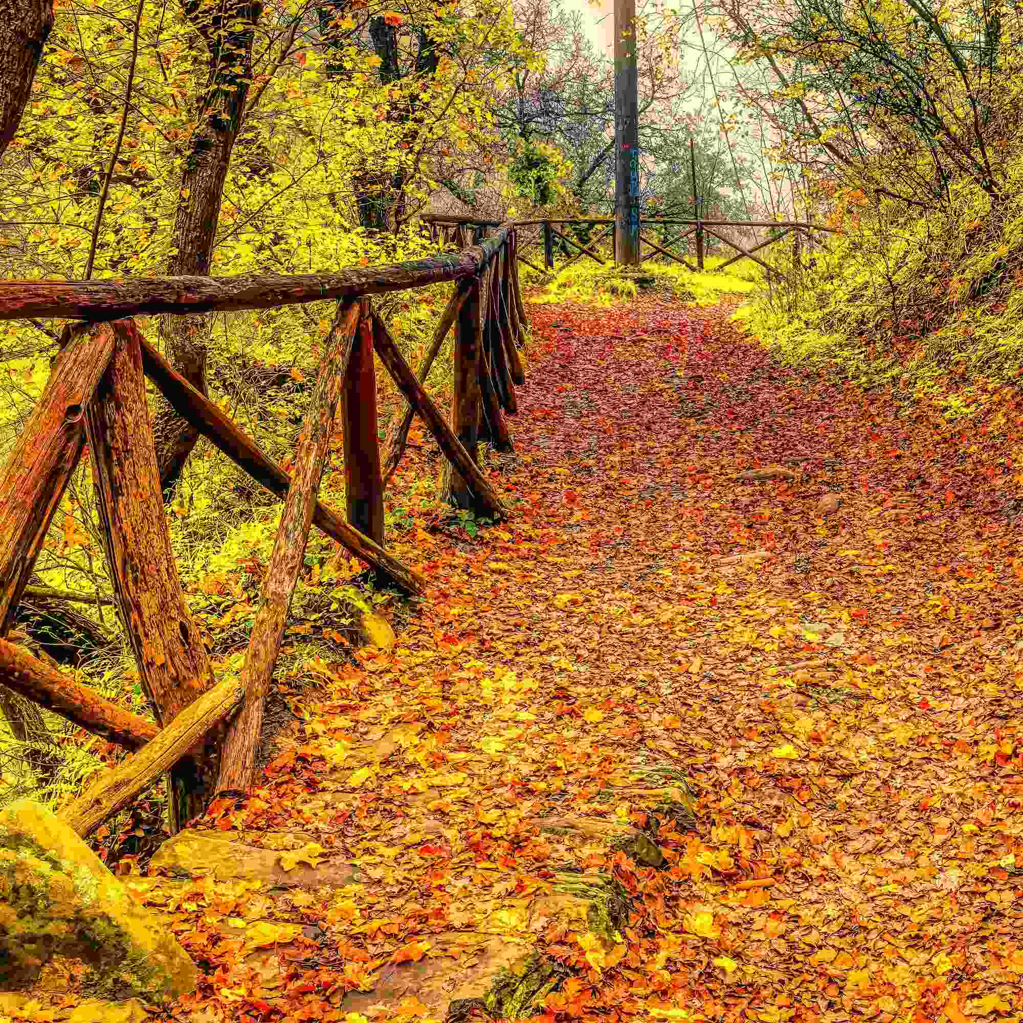 Golden Trail of Premilcuore – A Fine Art Photograph