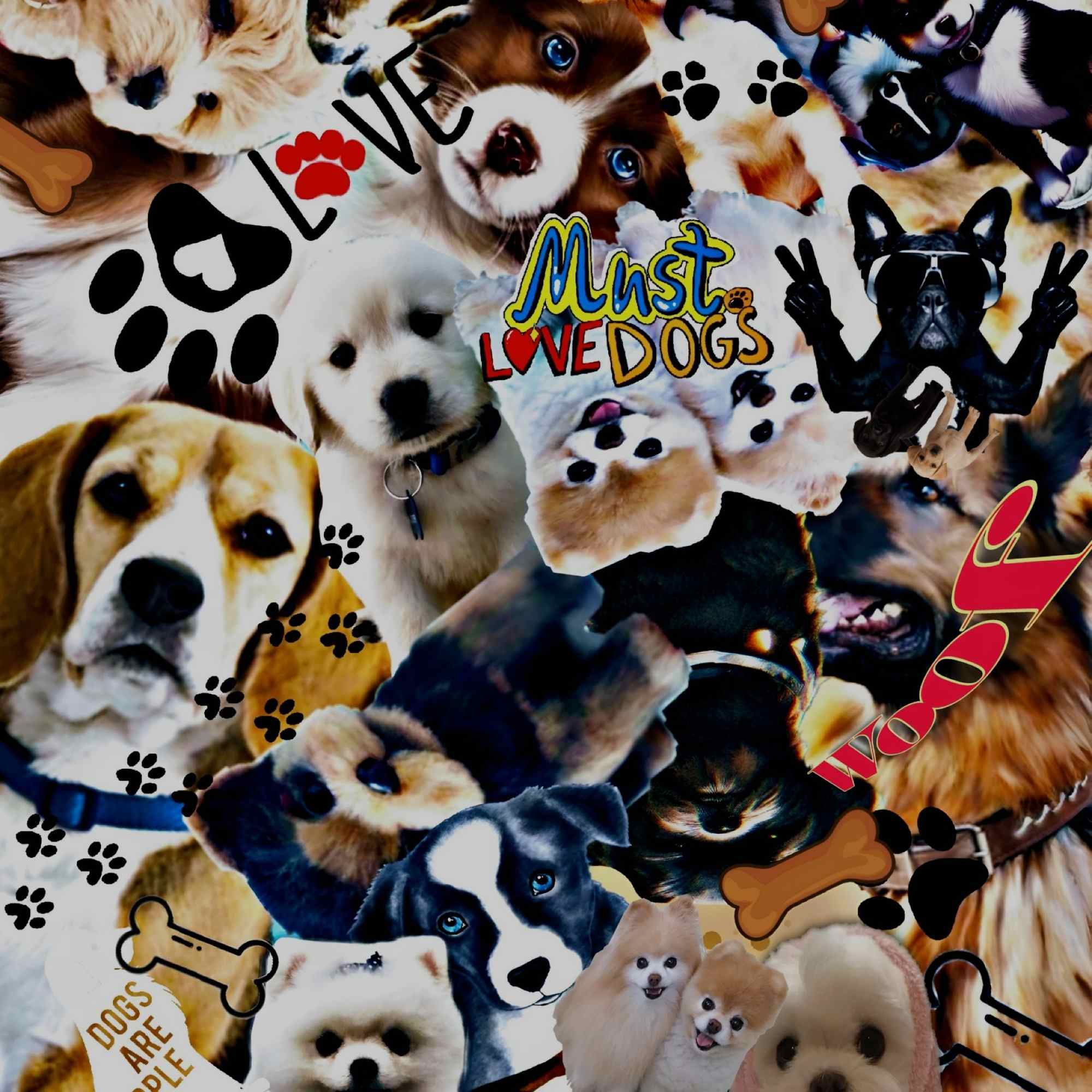 Must love Dogs 