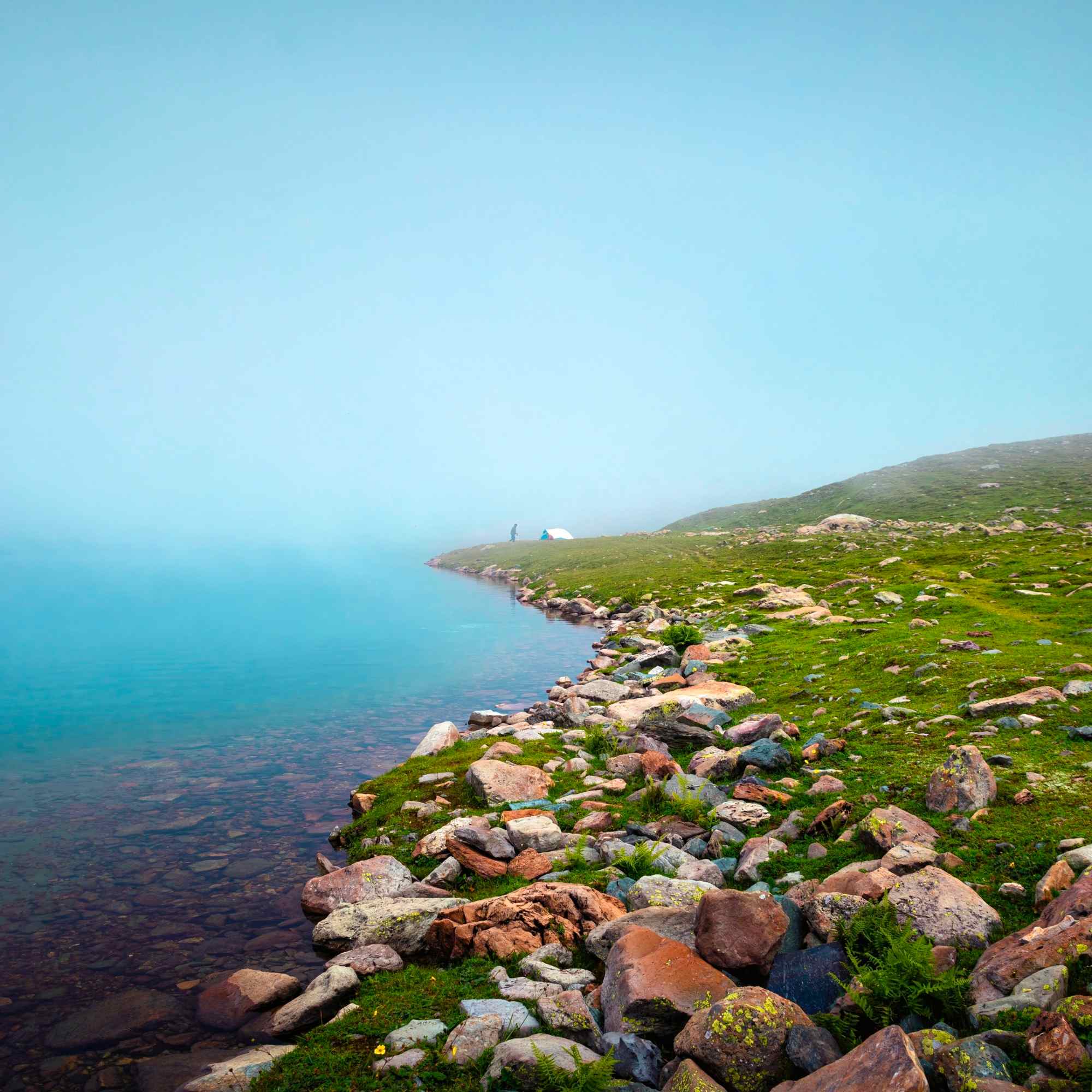 Alpine Coast