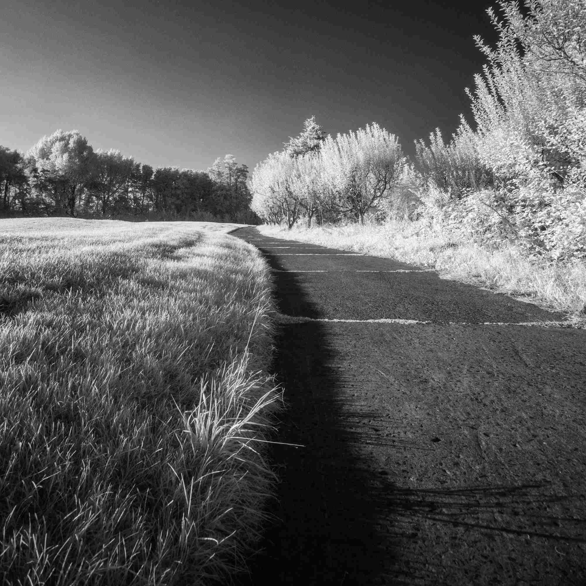 The Otherside