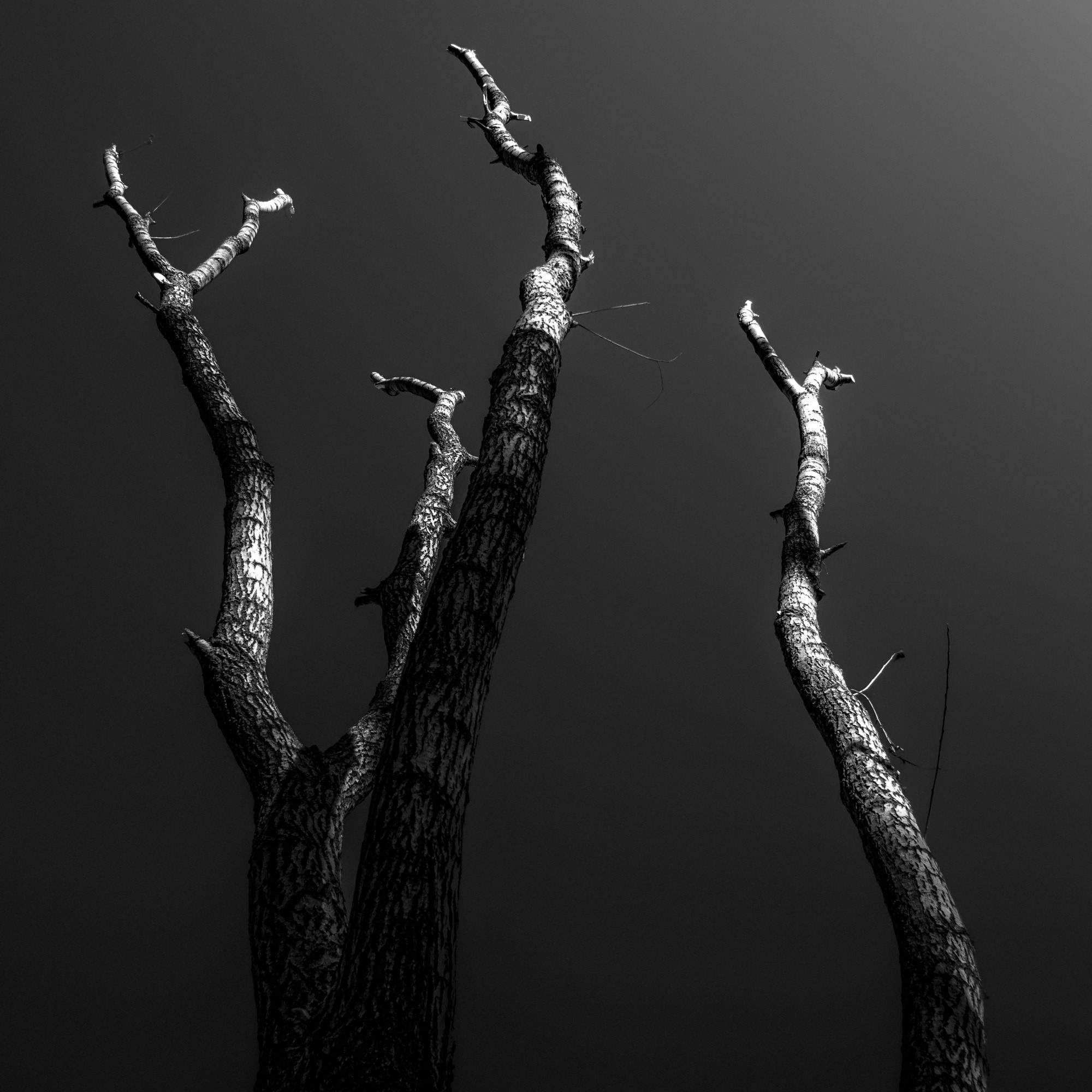 Resilience