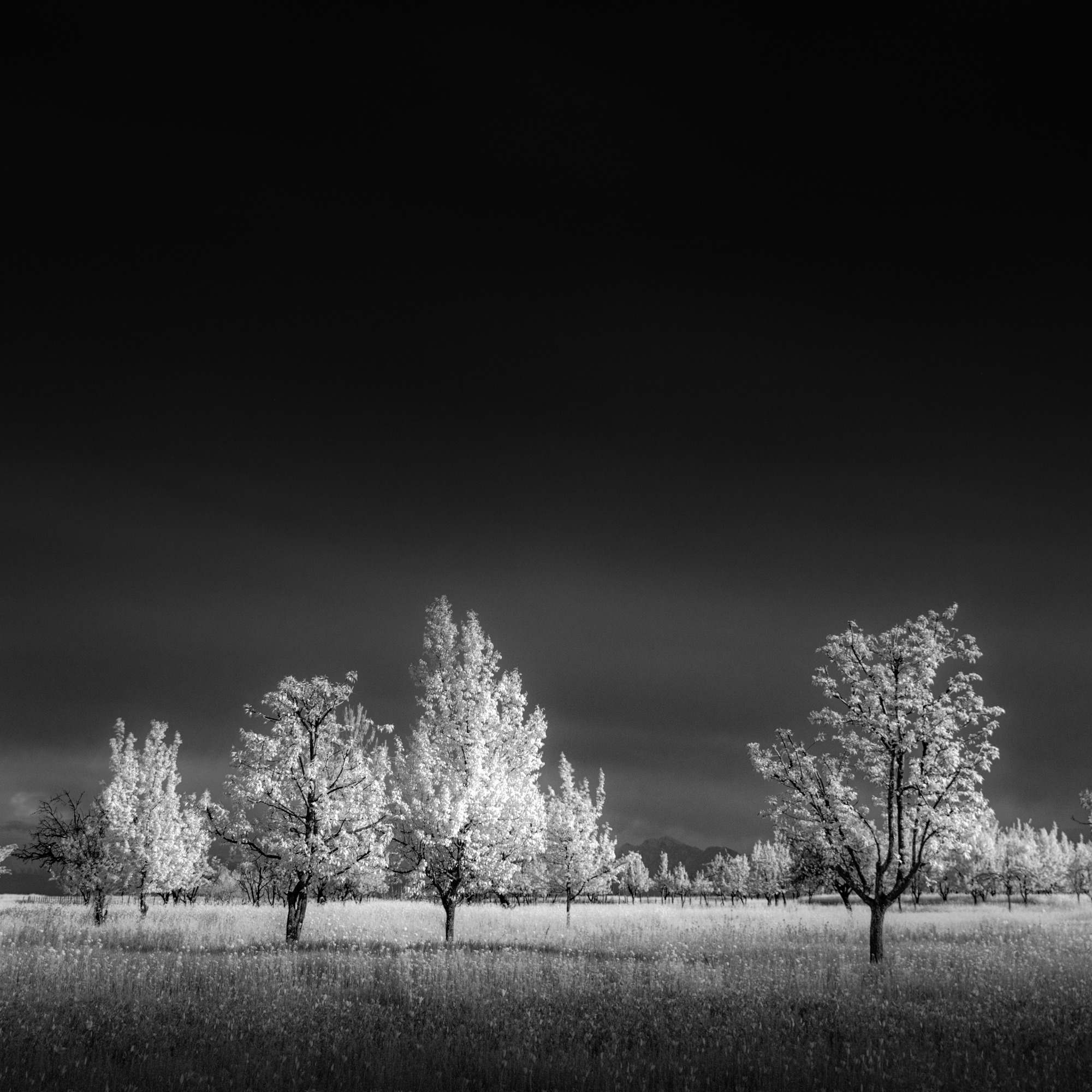 Tranquility