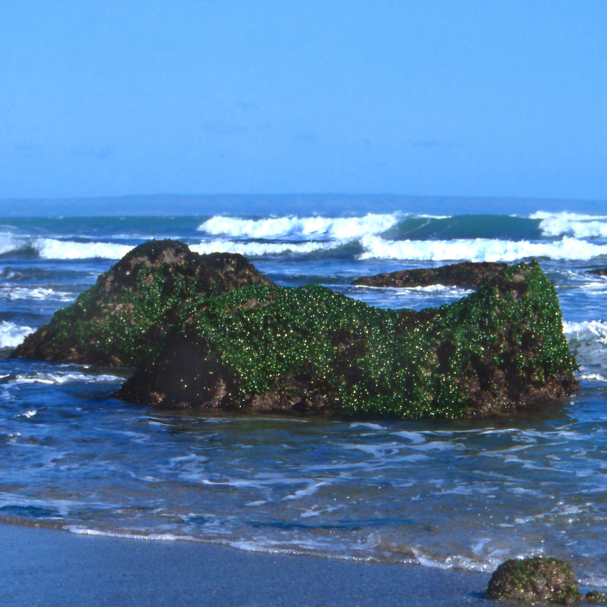 Rocky Beach