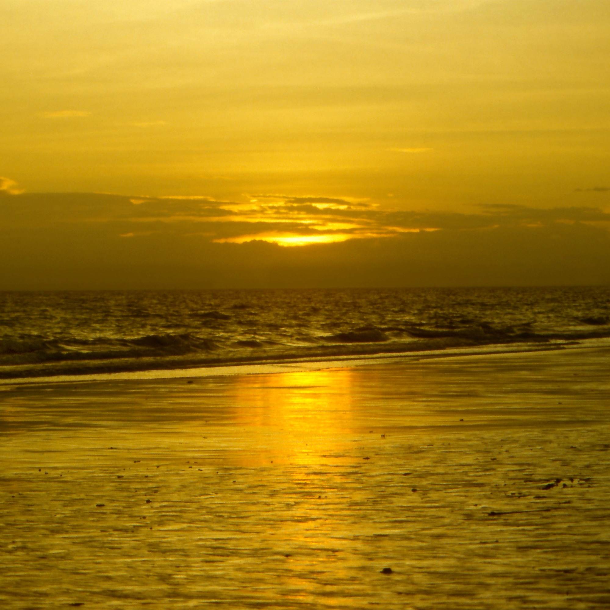 Golden Tides