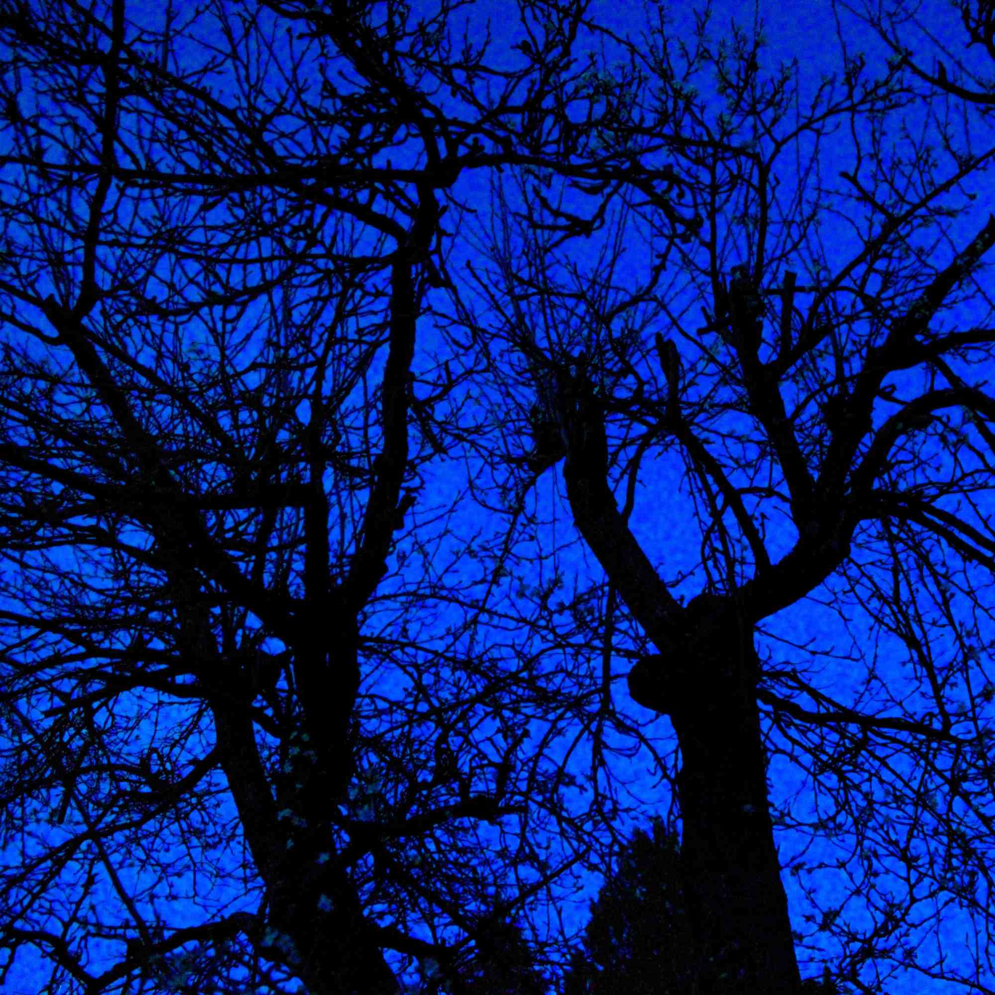 Into The Blue