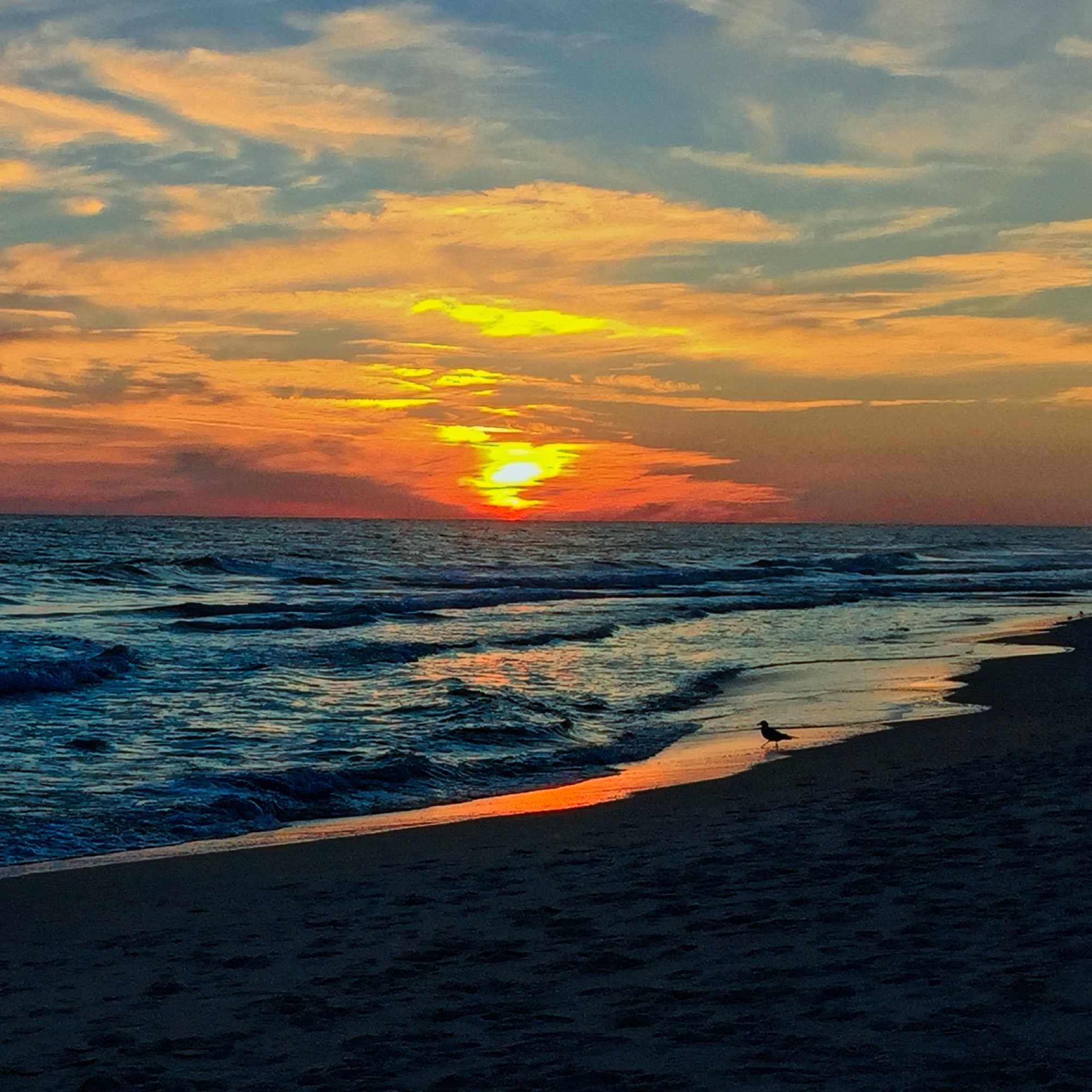 Beach Bliss