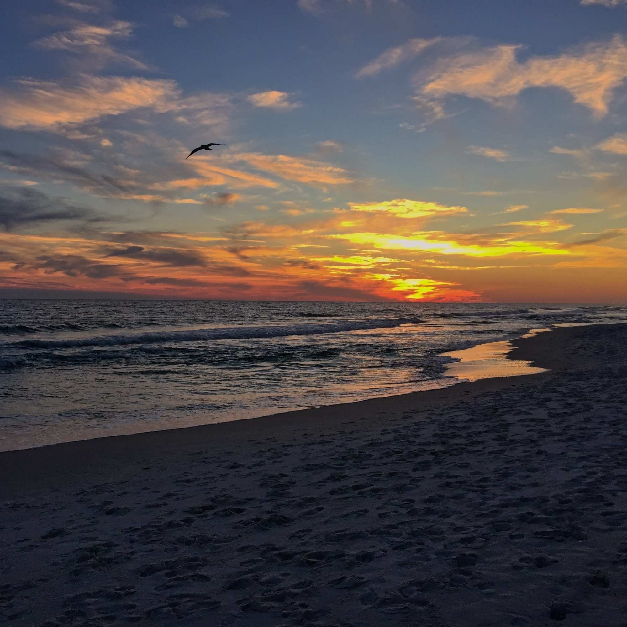Beach Bliss II