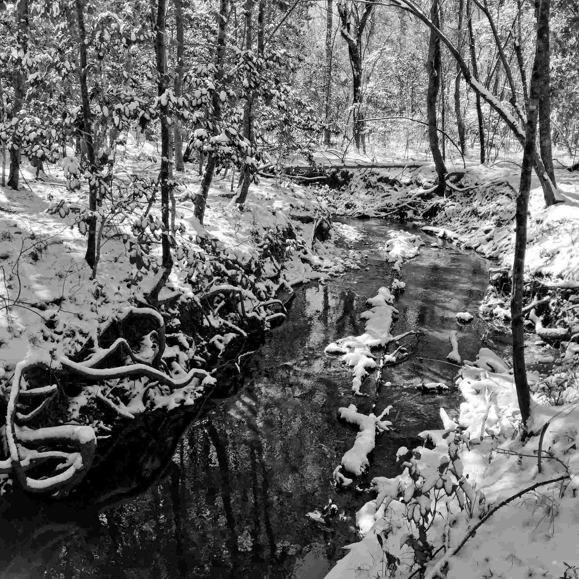 Snowy Creek