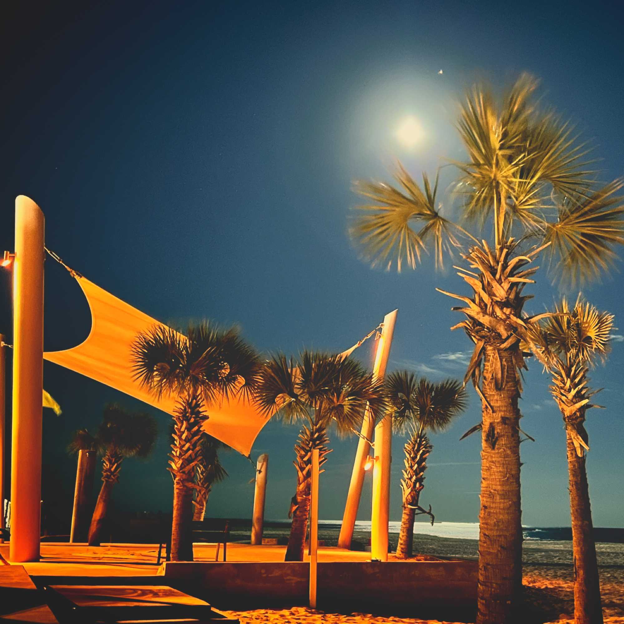 Moonlit Beach